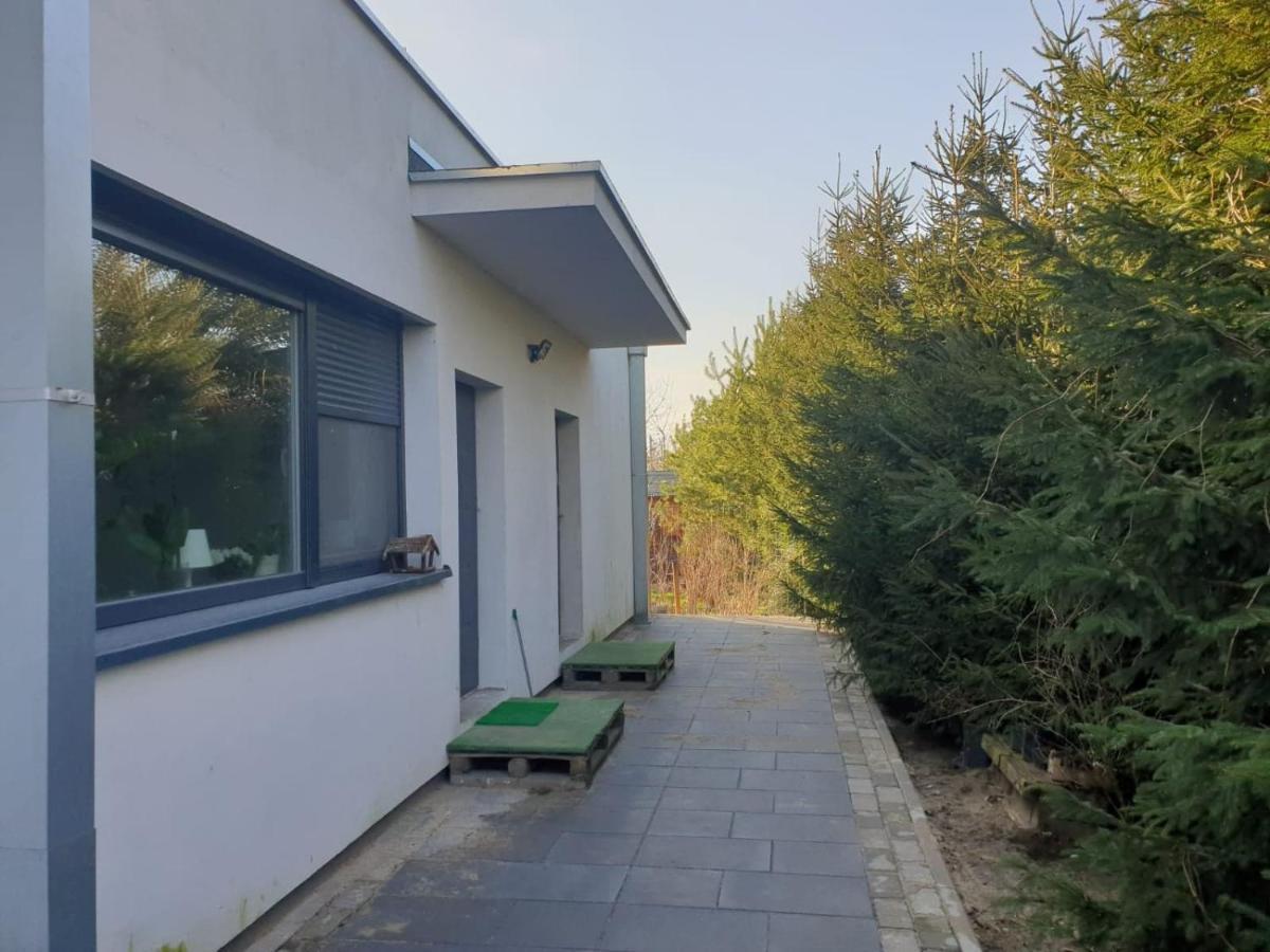 Maly Apartament W Zieleni Blisko Jeziora Środa Wielkopolska Exterior foto